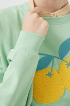 Cotton Sweatshirt with Citrus Fruit Print